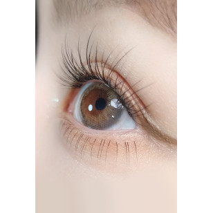 LensVery 1Day – The World Taro Jeom Grege塔羅米灰 日拋 每盒10片